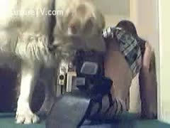 A white amateur livecam performer plays nefarious with her dog.